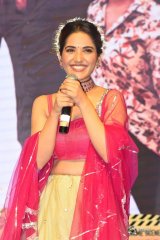 Hit Movie Pre Release Event Vizag